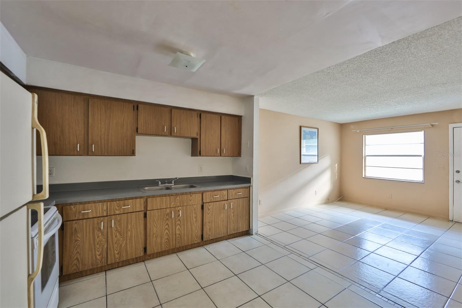 Kitchen Opens to Living Room