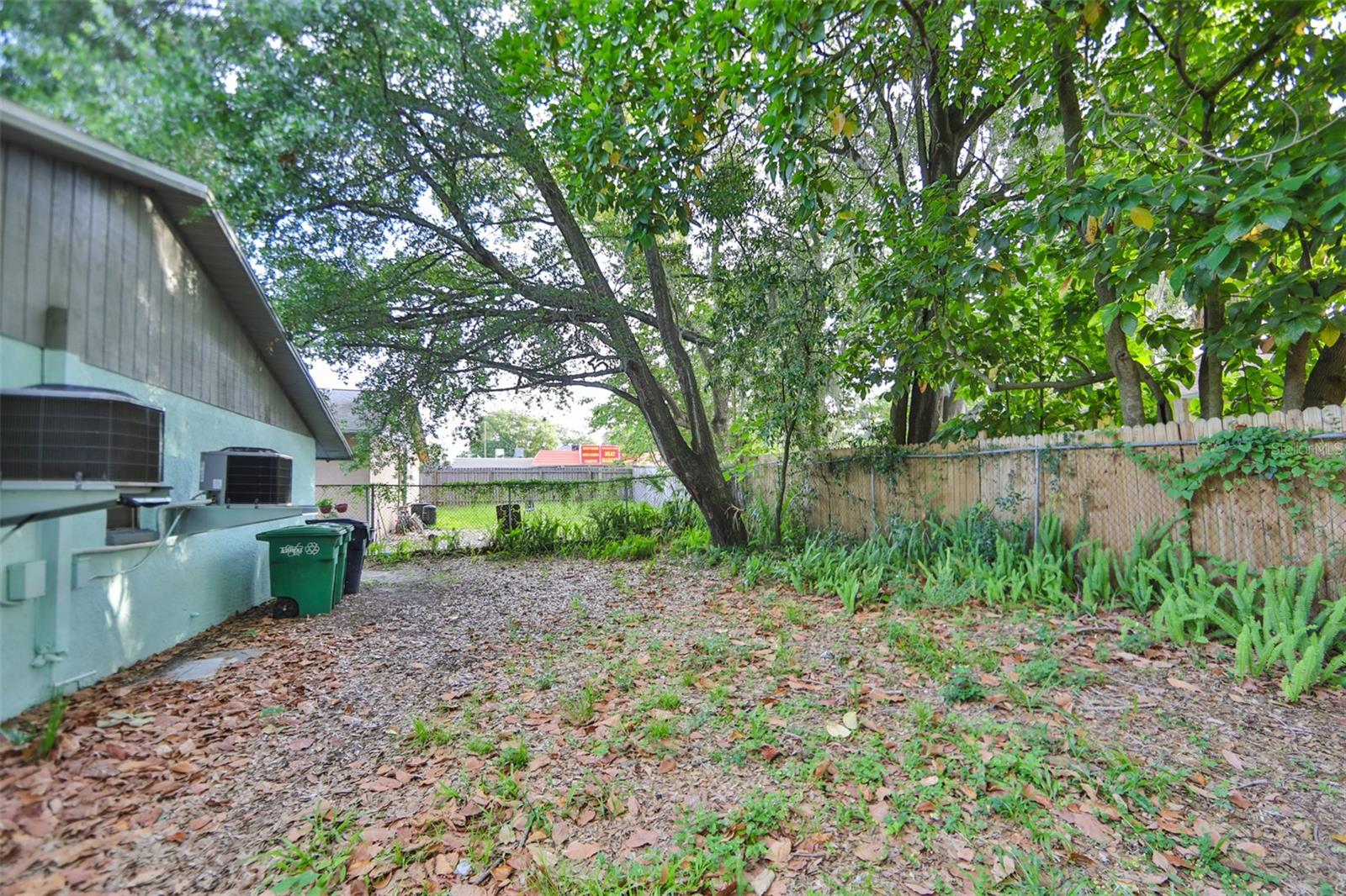Backyard