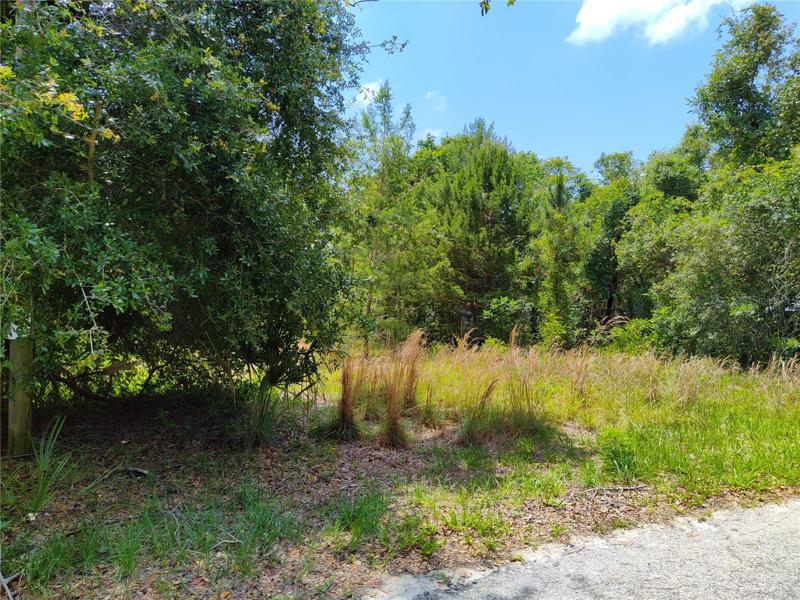 From front left of lot
