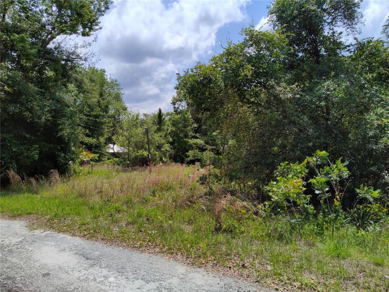 From front right of lot