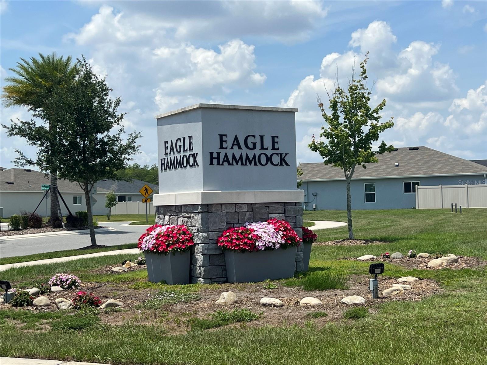 Welcome to Eagle Hammock