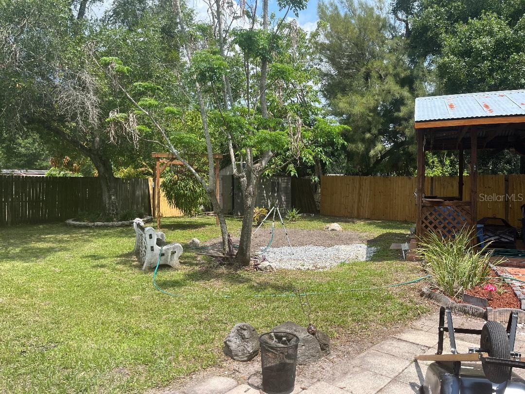Backyard