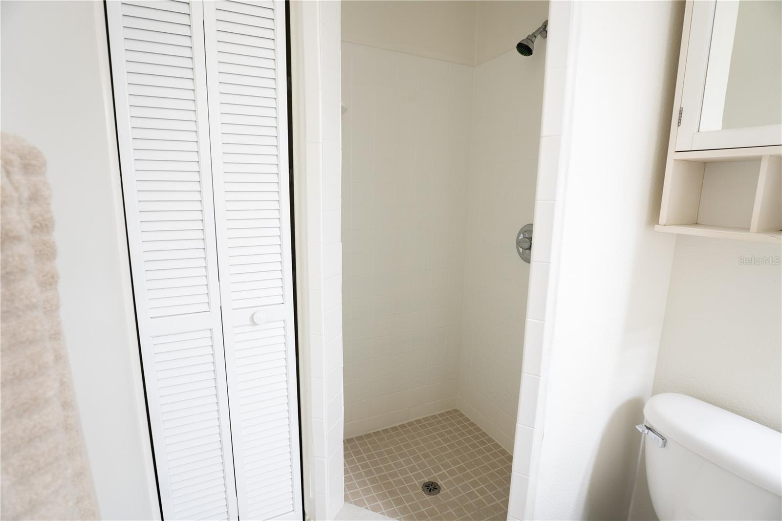 Primary Walk in Shower