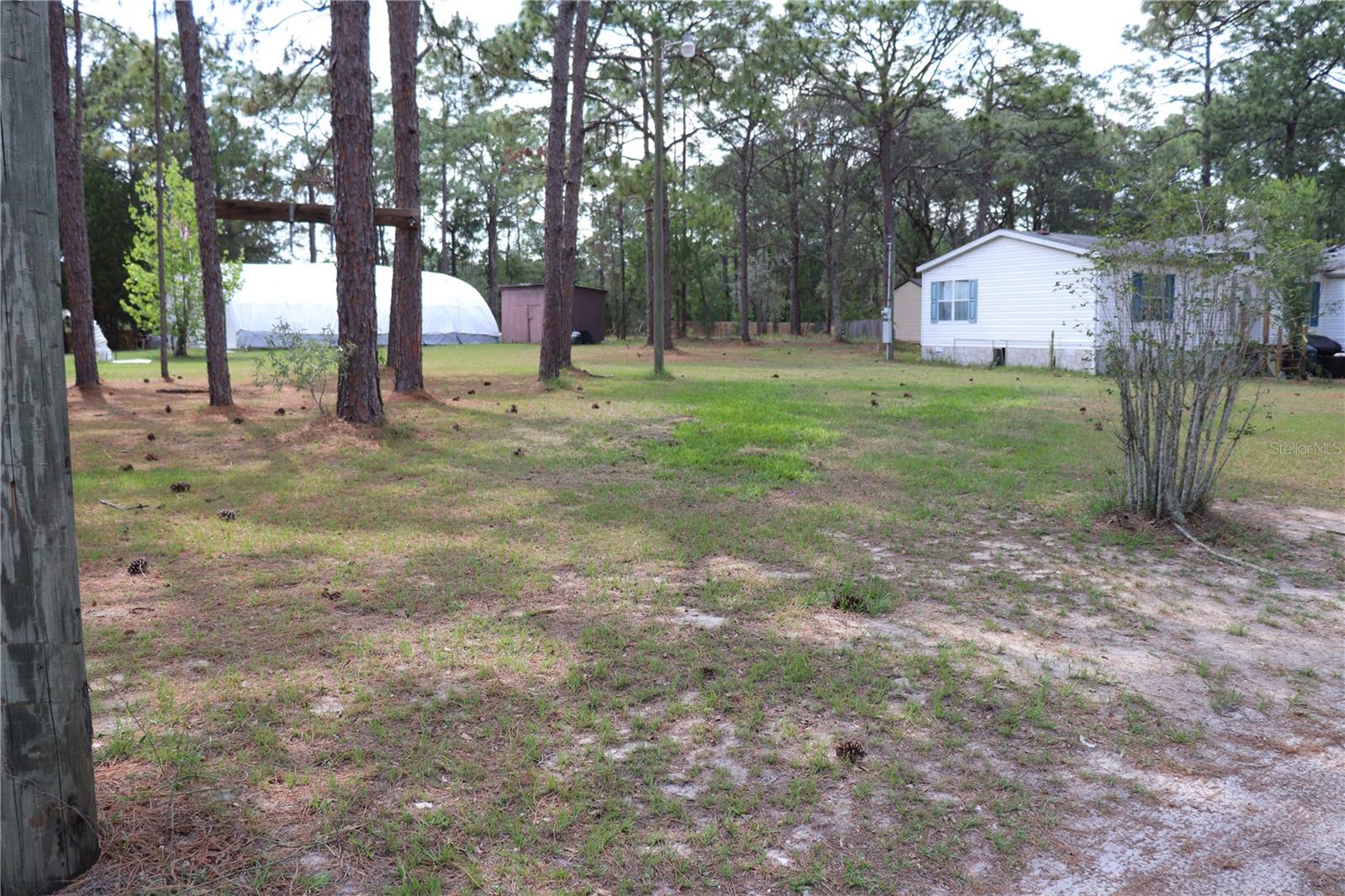 LEFT SIDE YARD