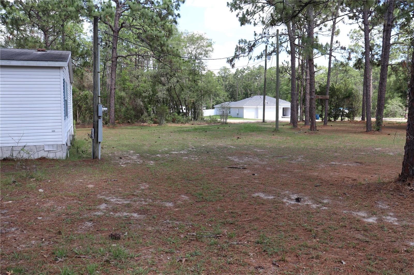 LEFT SIDE YARD