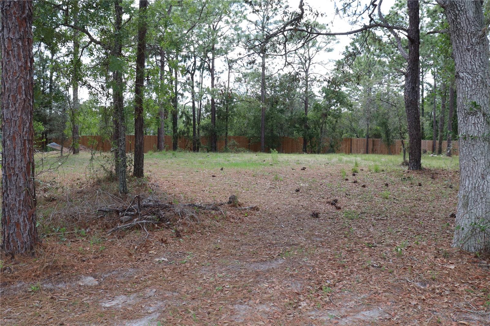 BACK YARD