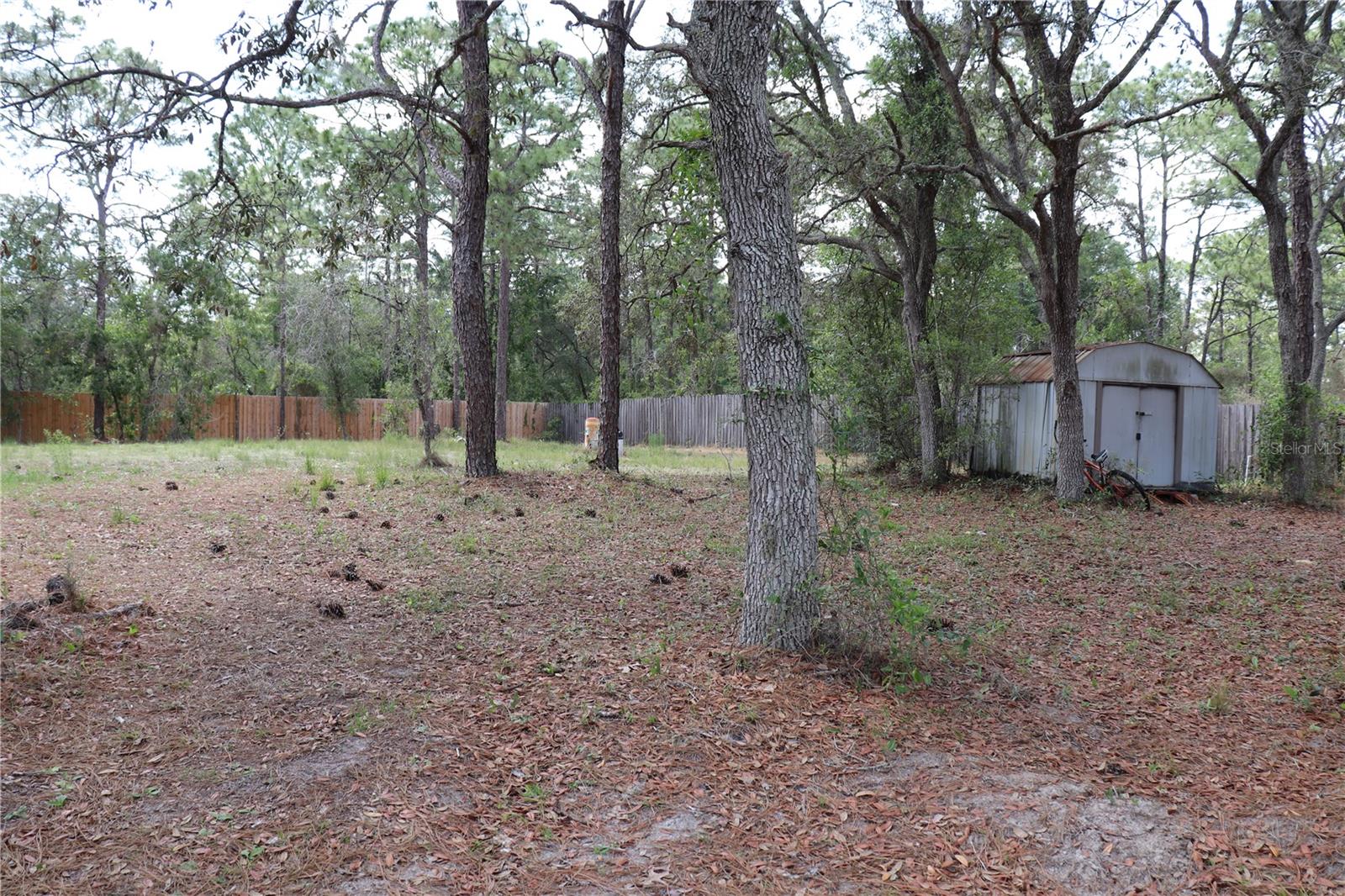 BACK YARD
