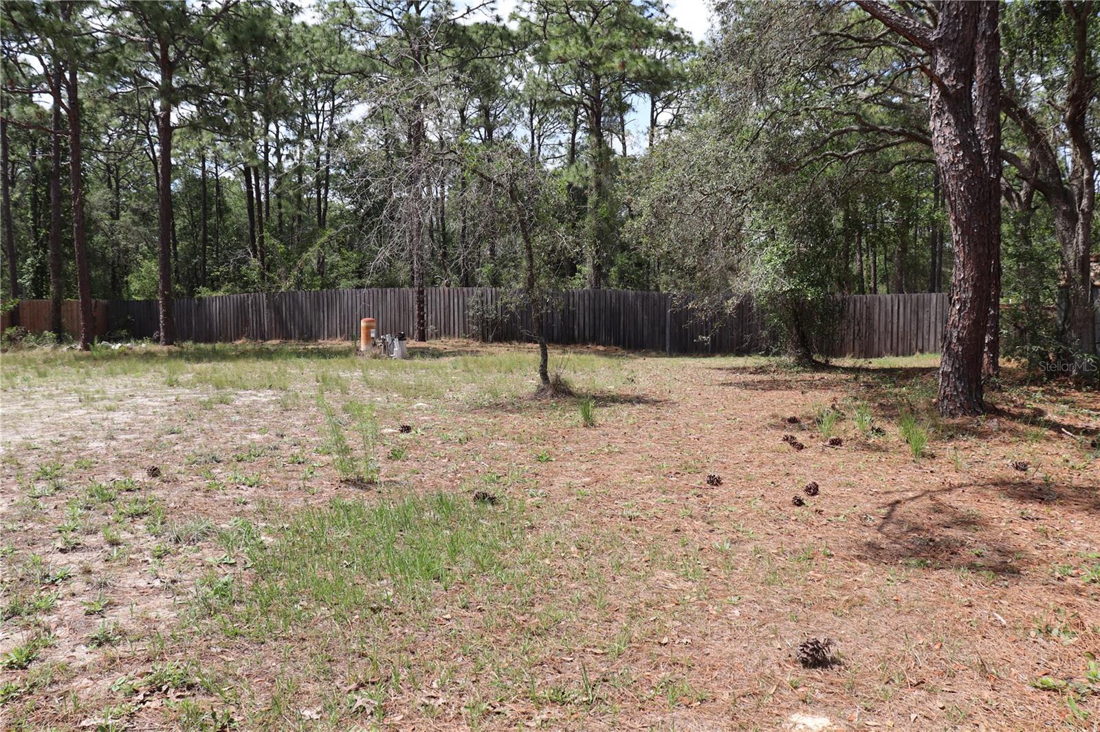 BACK YARD