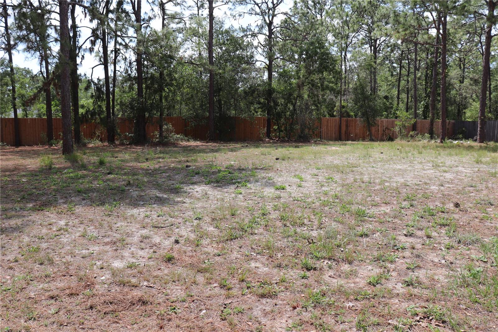 BACK YARD