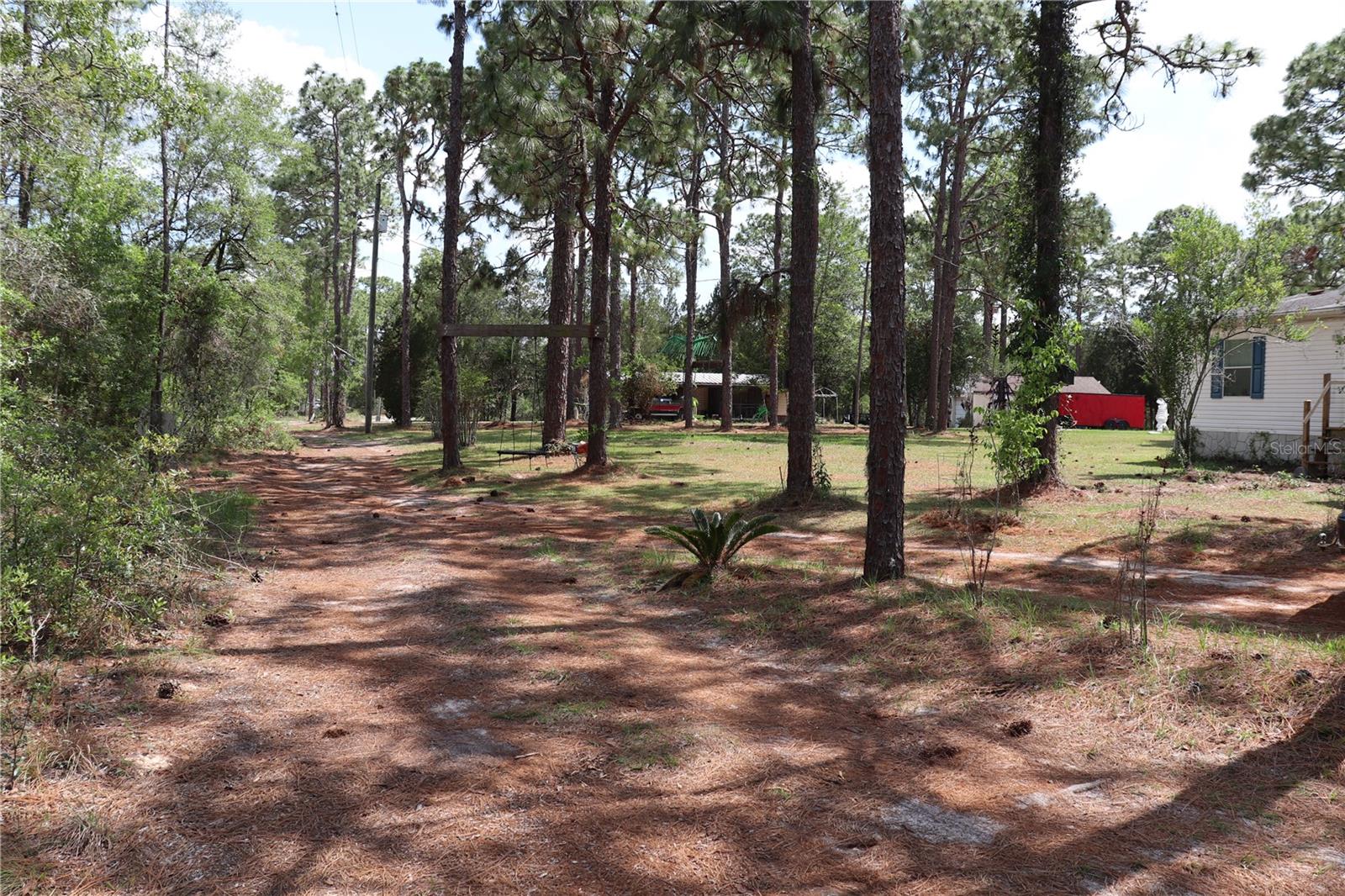 DRIVEWAY &amp; FRONT YARD