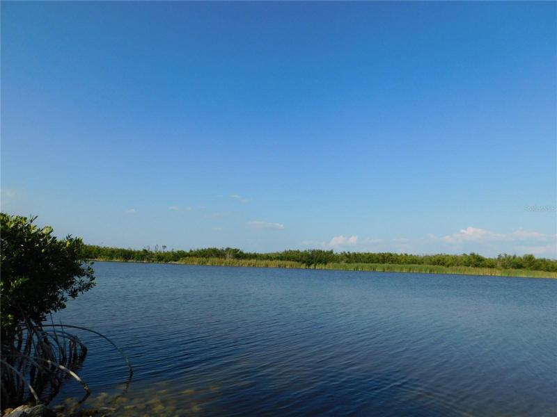 Overlooking the water in the park in South Gulf Cove.