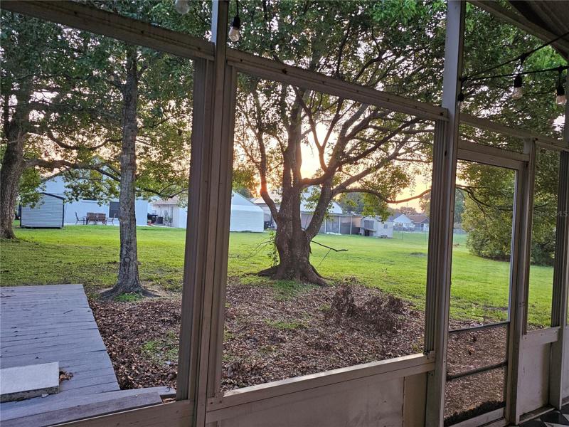 Backyard Rear View