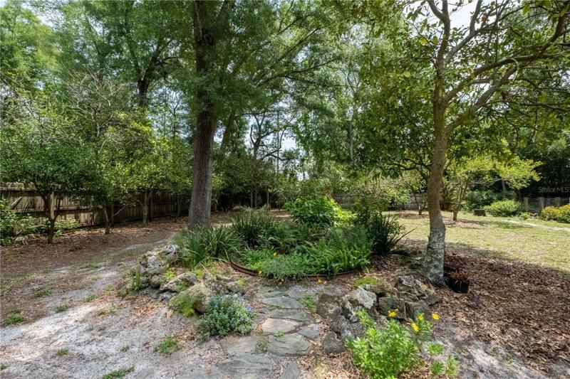 Garden Back yard