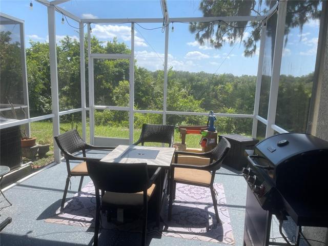 Back Patio