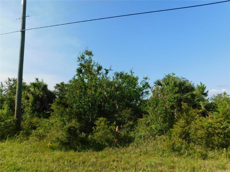 Picture of lot.
