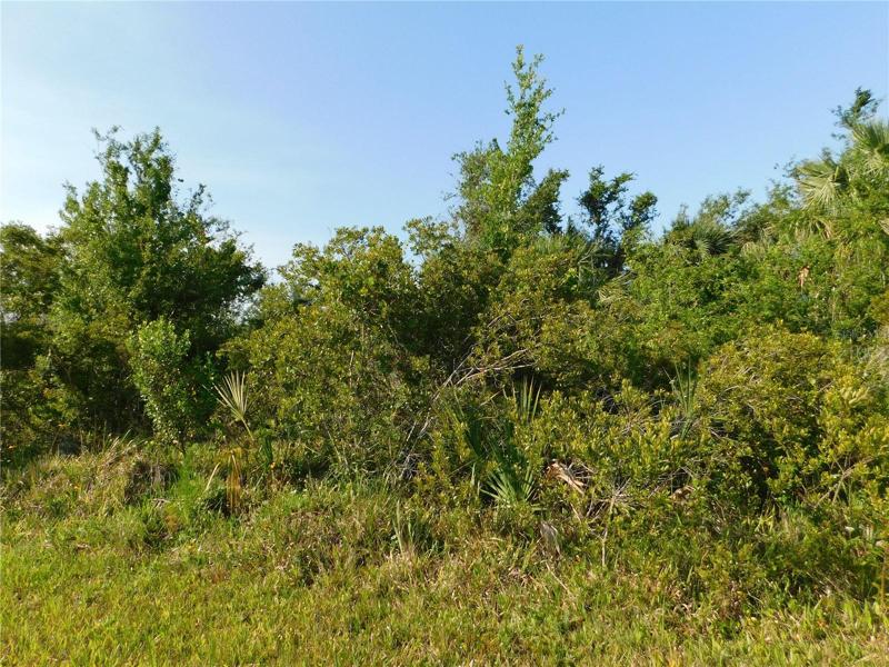 Picture of the lot.