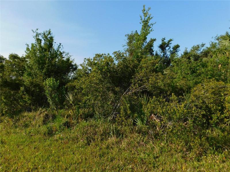 Picture of the lot.