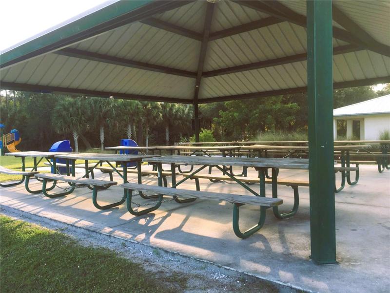 Picnic in the park.