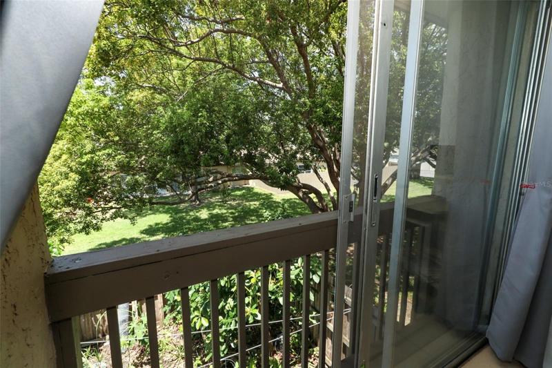 View from Family Room