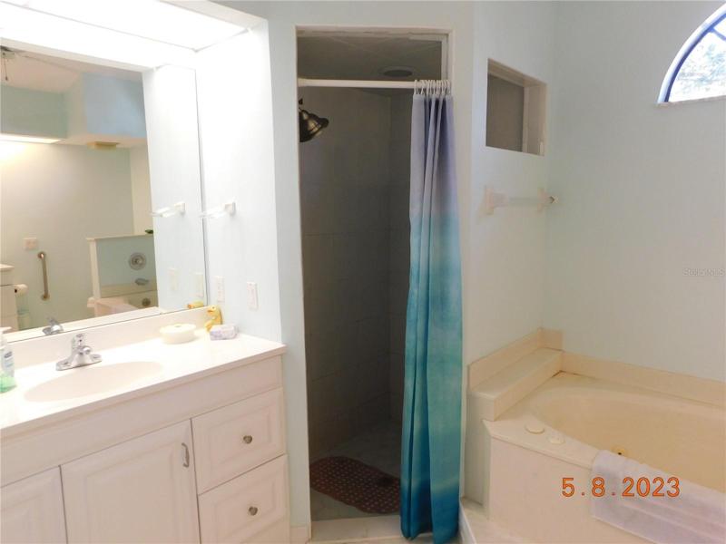 ensuite bath with separate vanities, shower, and tub
