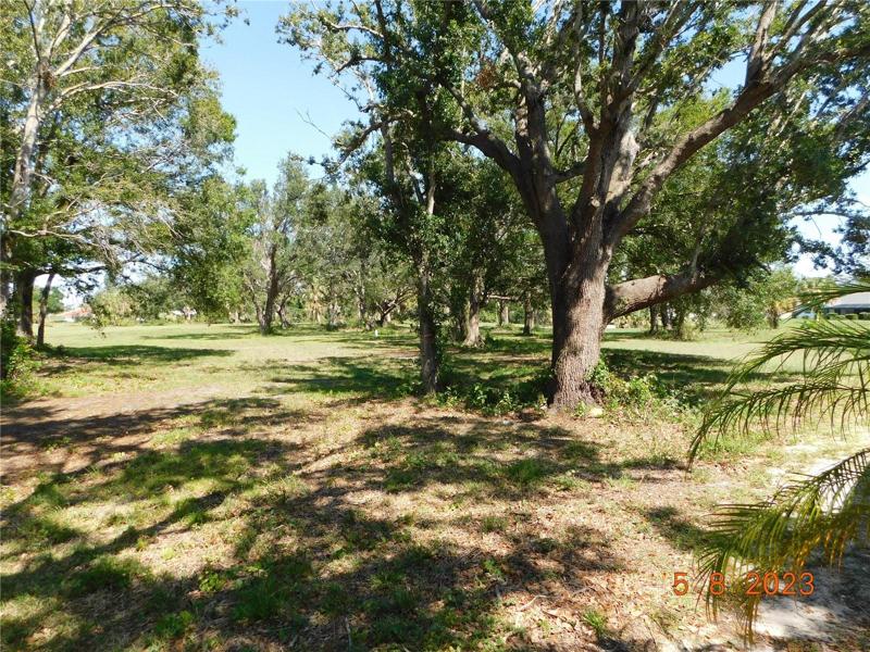 adjacent vacant lot