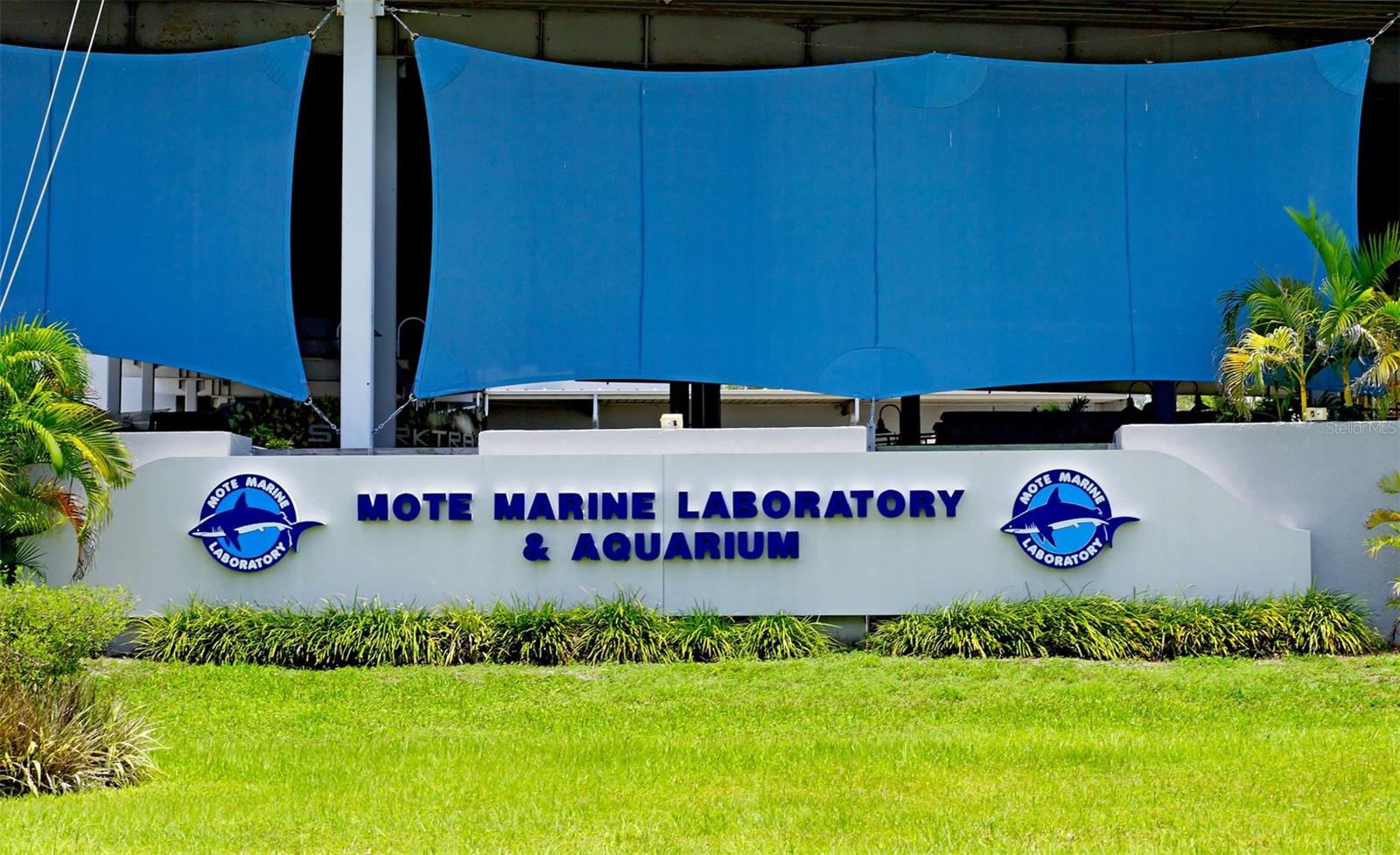 Nearby - Mote Marine Laboratory &amp; Aquarium