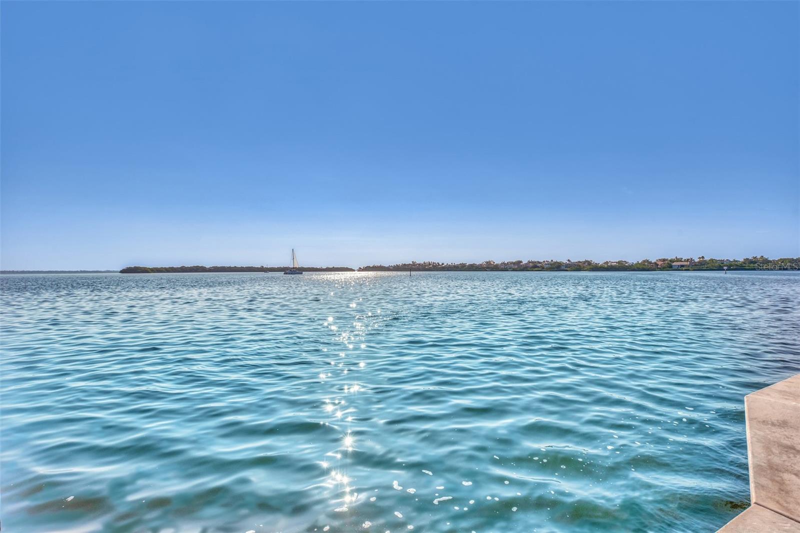 View from the Marina