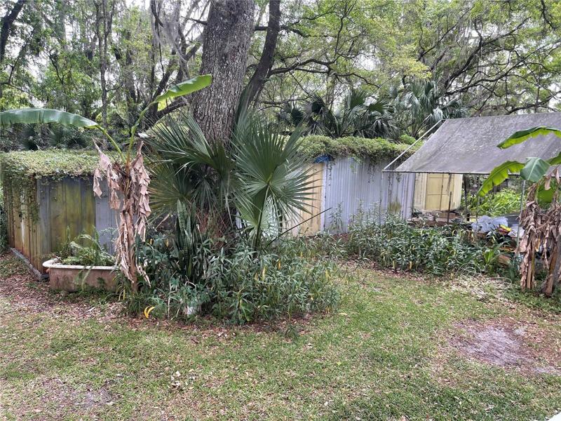 Shed and carport