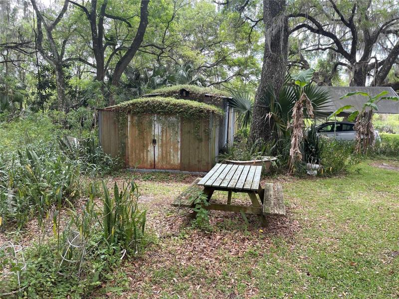 Shed