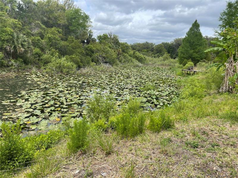 Looking up the canal