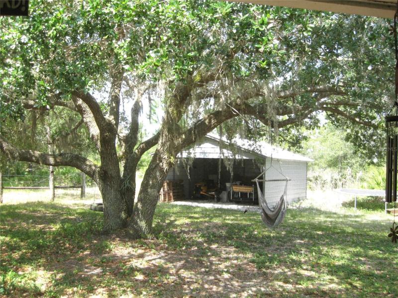 Backyard view from the lanai