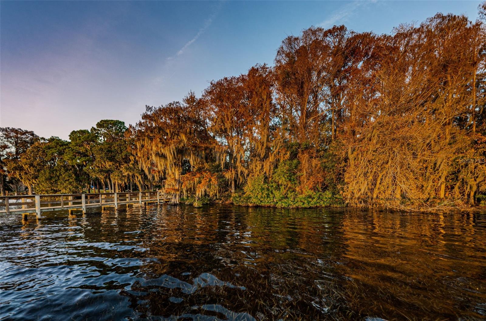 Palm Harbor, Florida 34685, 0 , 0 ,0,Land,For Sale,TARPON LAKE,0,U8200843
