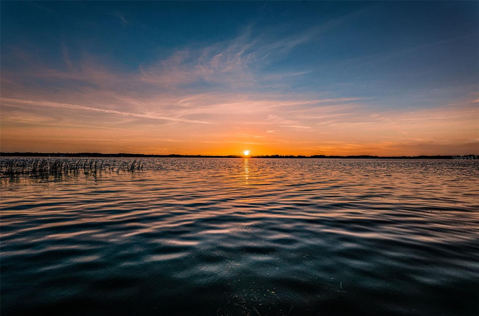 Palm Harbor, Florida 34685, 0 , 0 ,0,Land,For Sale,TARPON LAKE,0,U8200843