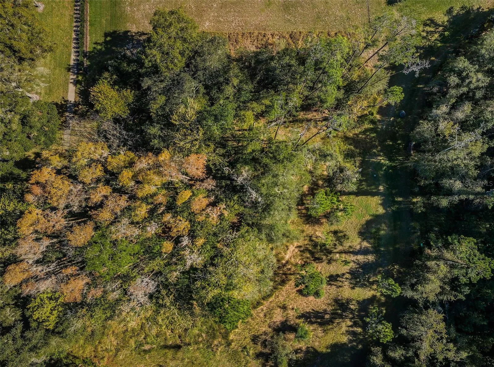 Palm Harbor, Florida 34685, 0 , 0 ,0,Land,For Sale,TARPON LAKE,0,U8200843