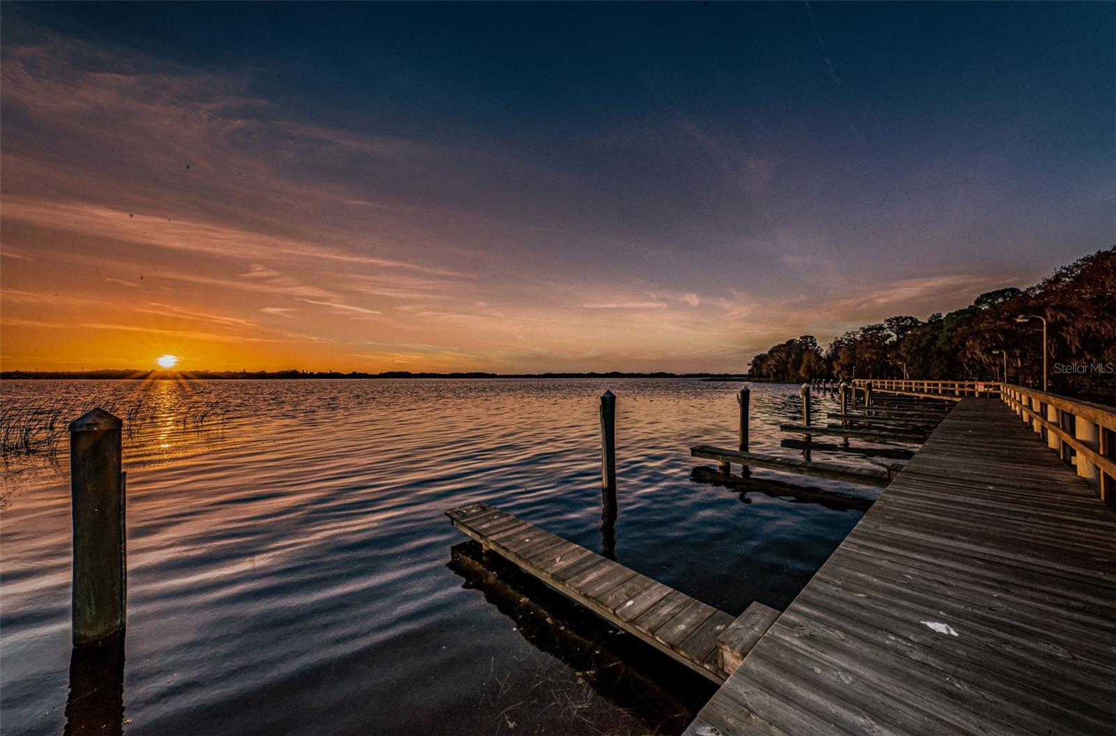 Palm Harbor, Florida 34685, 0 , 0 ,0,Land,For Sale,TARPON LAKE,0,U8200843