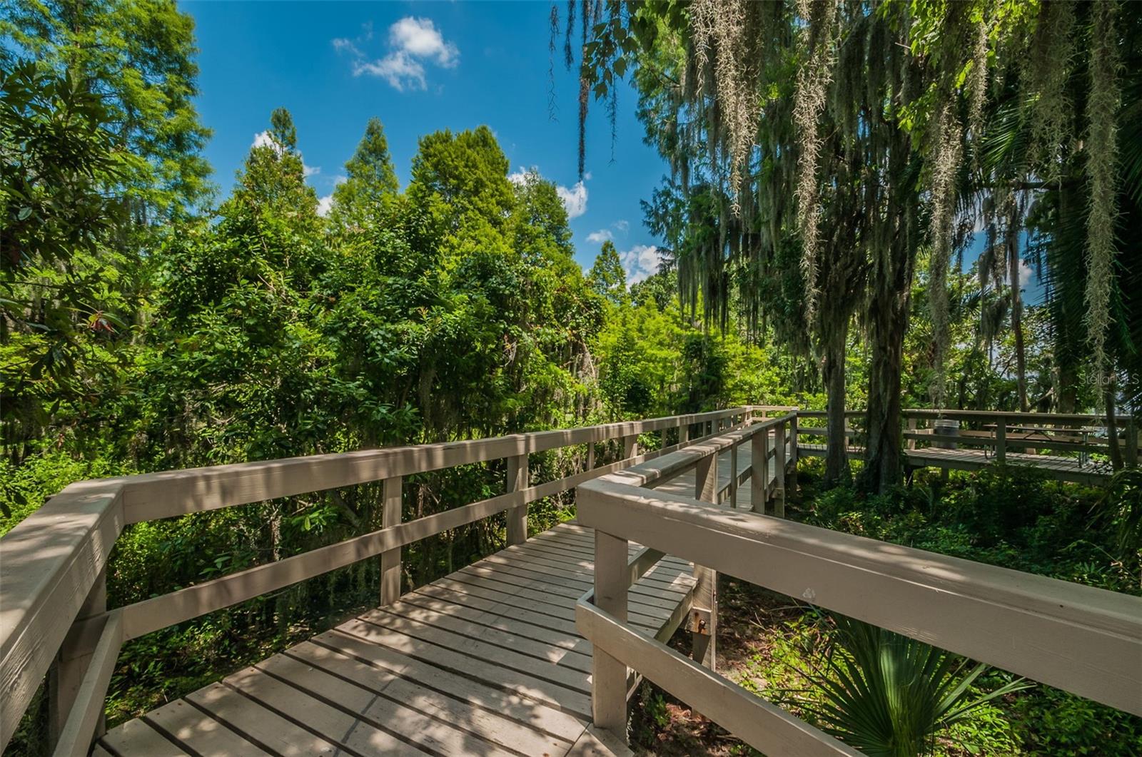 Palm Harbor, Florida 34685, 0 , 0 ,0,Land,For Sale,TARPON LAKE,0,U8200843