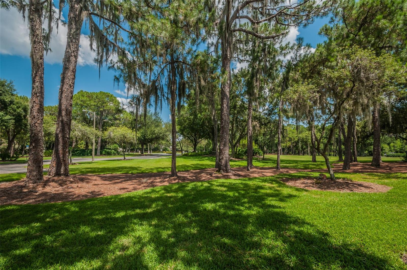Palm Harbor, Florida 34685, 0 , 0 ,0,Land,For Sale,TARPON LAKE,0,U8200843