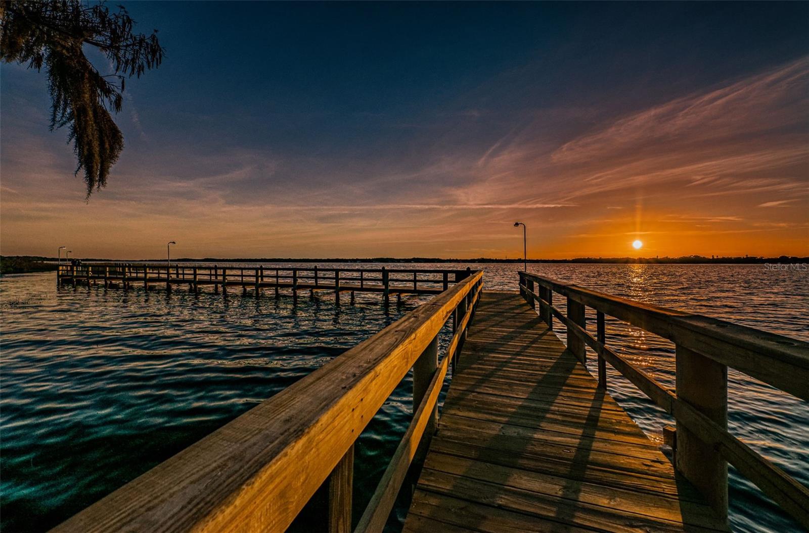Palm Harbor, Florida 34685, 0 , 0 ,0,Land,For Sale,TARPON LAKE,0,U8200843