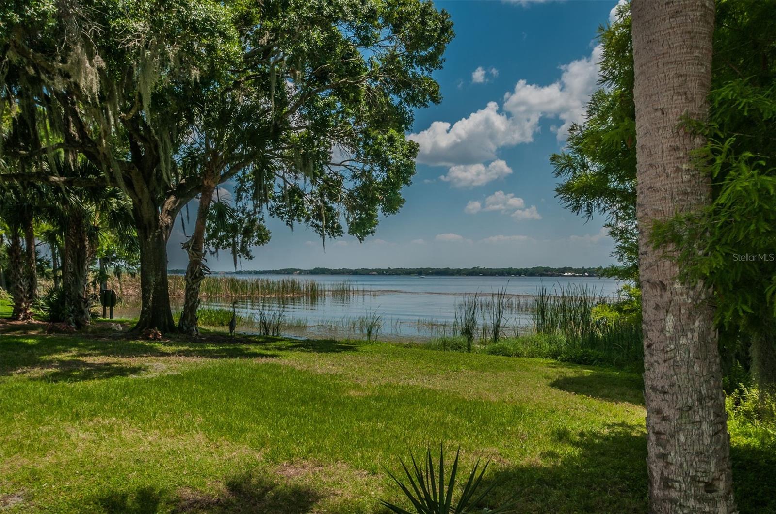Palm Harbor, Florida 34685, 0 , 0 ,0,Land,For Sale,TARPON LAKE,0,U8200843