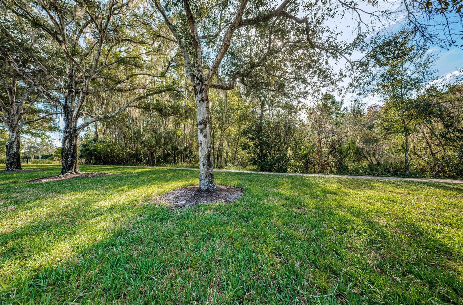 Palm Harbor, Florida 34685, 0 , 0 ,0,Land,For Sale,TARPON LAKE,0,U8200843