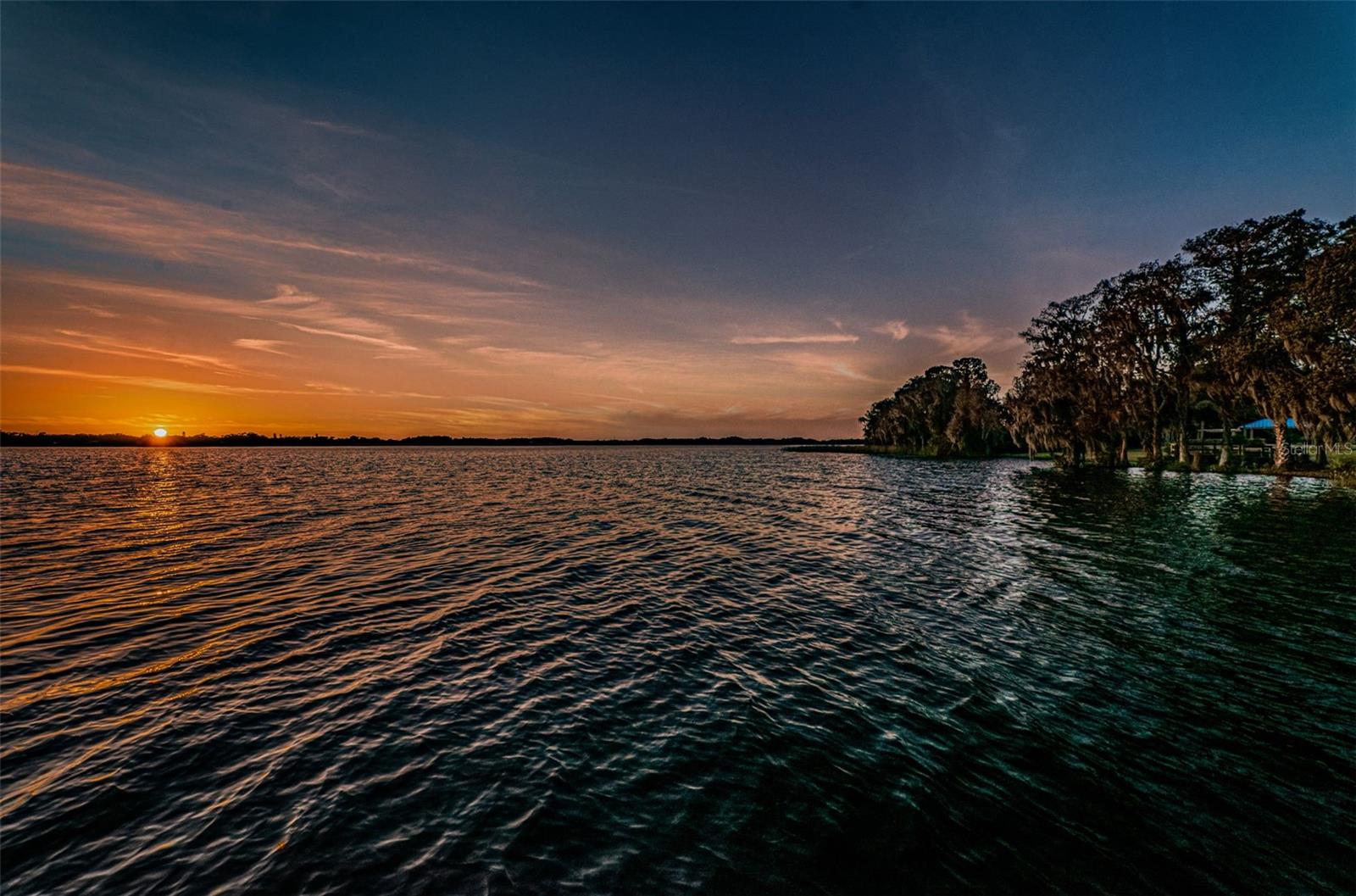 Palm Harbor, Florida 34685, 0 , 0 ,0,Land,For Sale,TARPON LAKE,0,U8200843