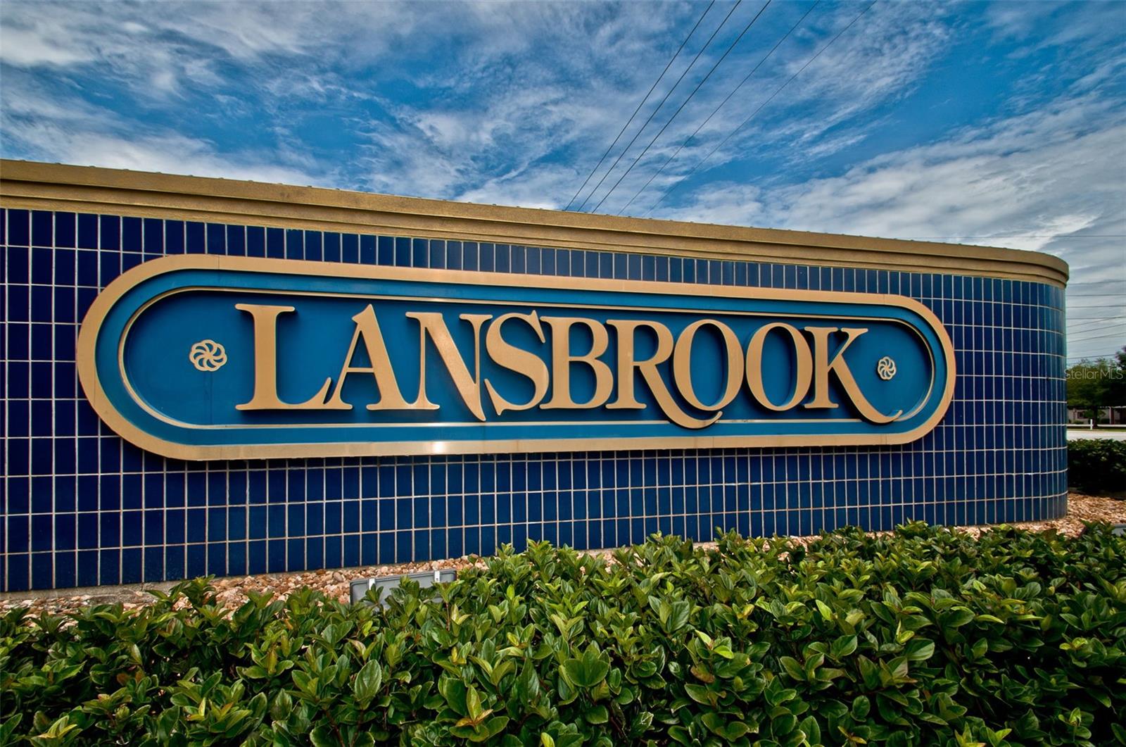 Palm Harbor, Florida 34685, 0 , 0 ,0,Land,For Sale,TARPON LAKE,0,U8200843