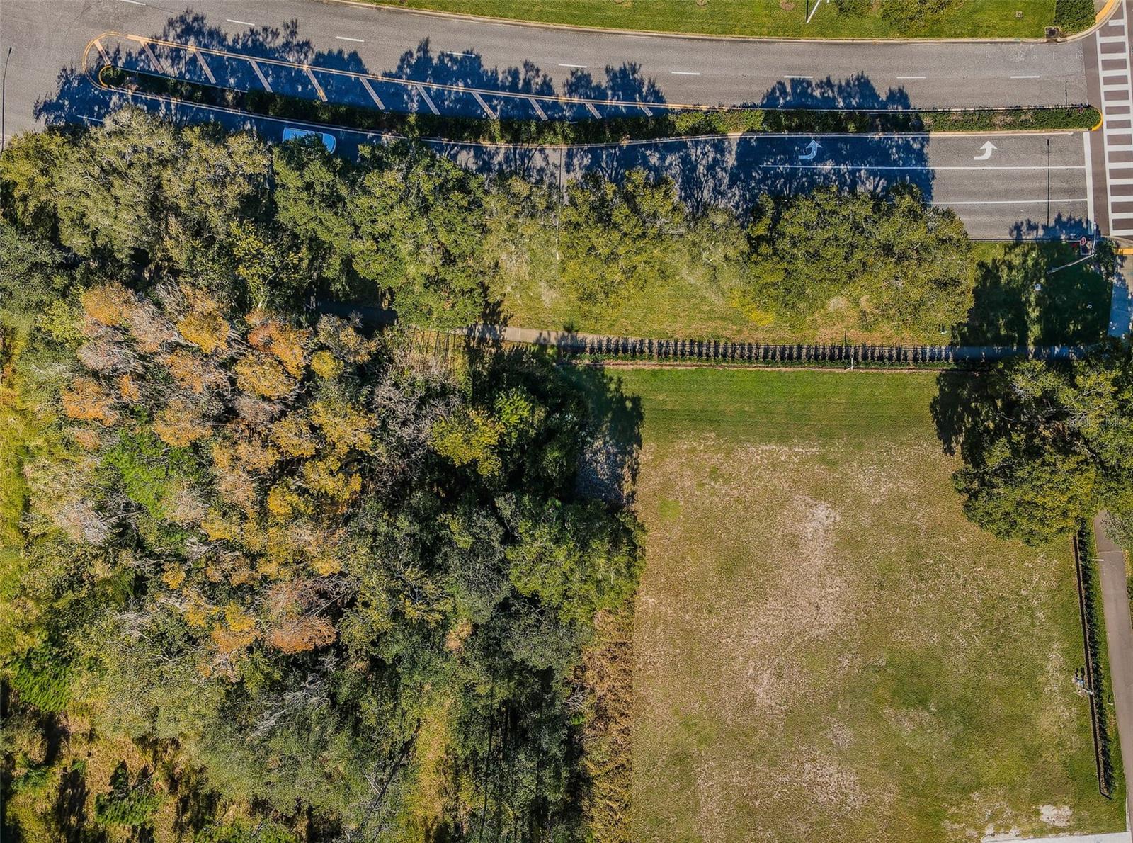Palm Harbor, Florida 34685, 0 , 0 ,0,Land,For Sale,TARPON LAKE,0,U8200843