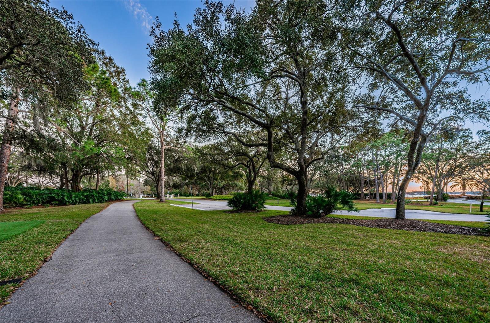 Palm Harbor, Florida 34685, 0 , 0 ,0,Land,For Sale,TARPON LAKE,0,U8200843