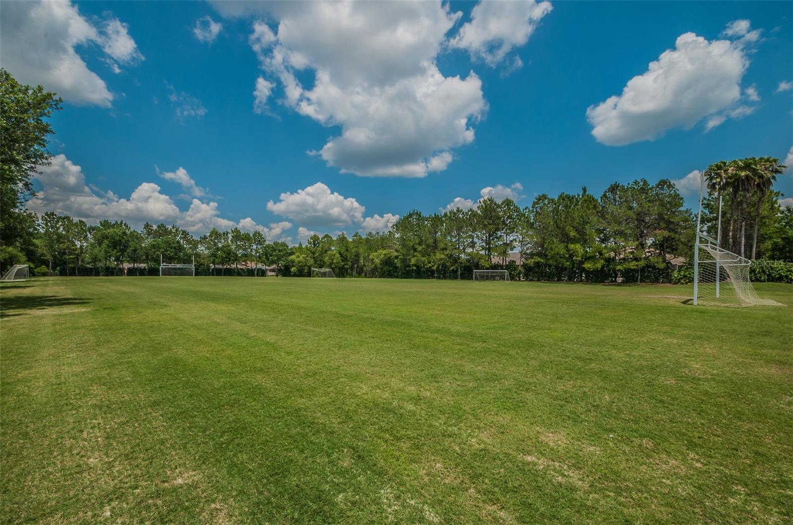 Palm Harbor, Florida 34685, 0 , 0 ,0,Land,For Sale,TARPON LAKE,0,U8200843