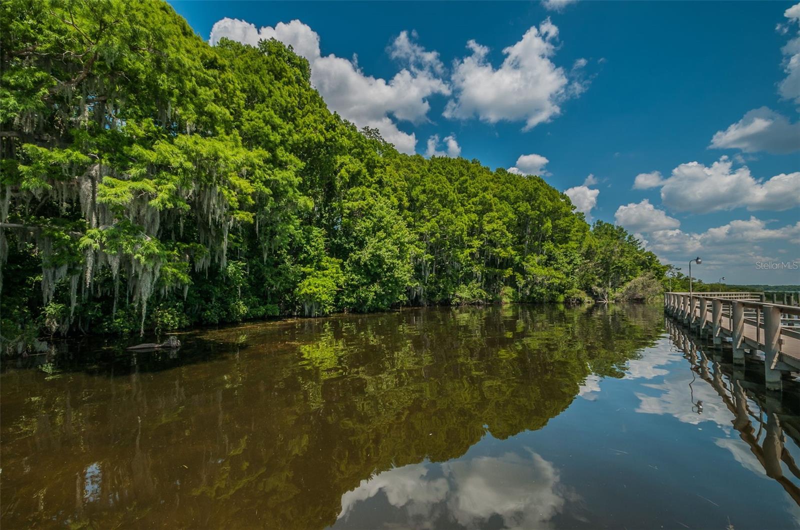 Palm Harbor, Florida 34685, 0 , 0 ,0,Land,For Sale,TARPON LAKE,0,U8200843