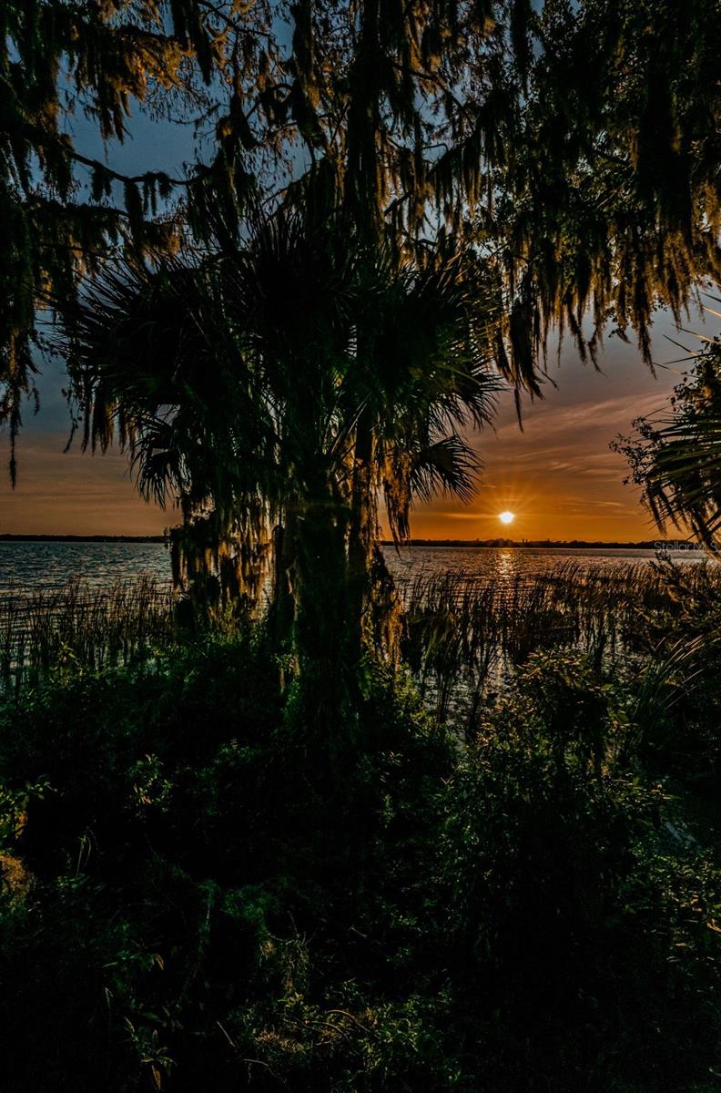 Palm Harbor, Florida 34685, 0 , 0 ,0,Land,For Sale,TARPON LAKE,0,U8200843