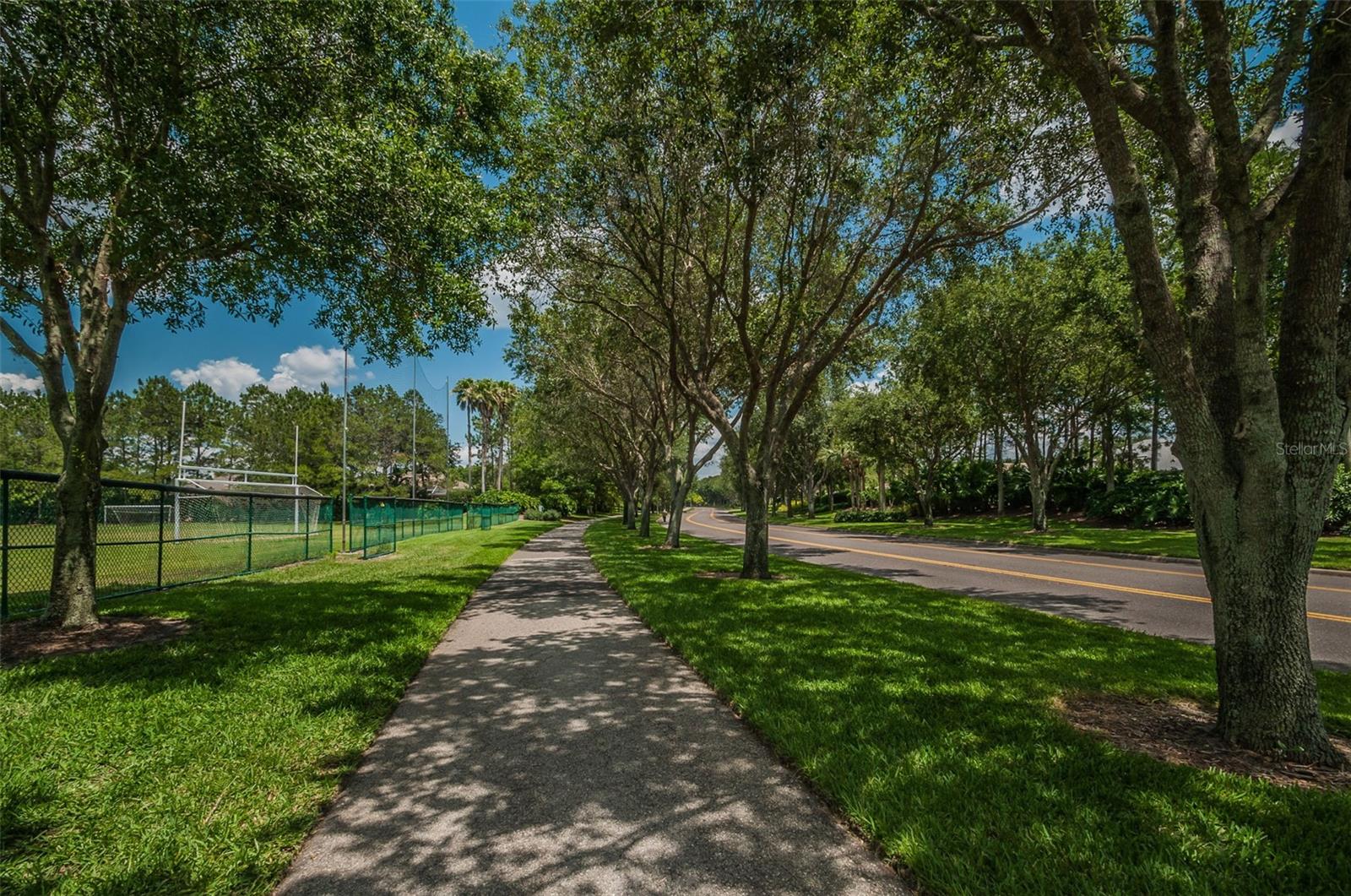 Palm Harbor, Florida 34685, 0 , 0 ,0,Land,For Sale,TARPON LAKE,0,U8200843