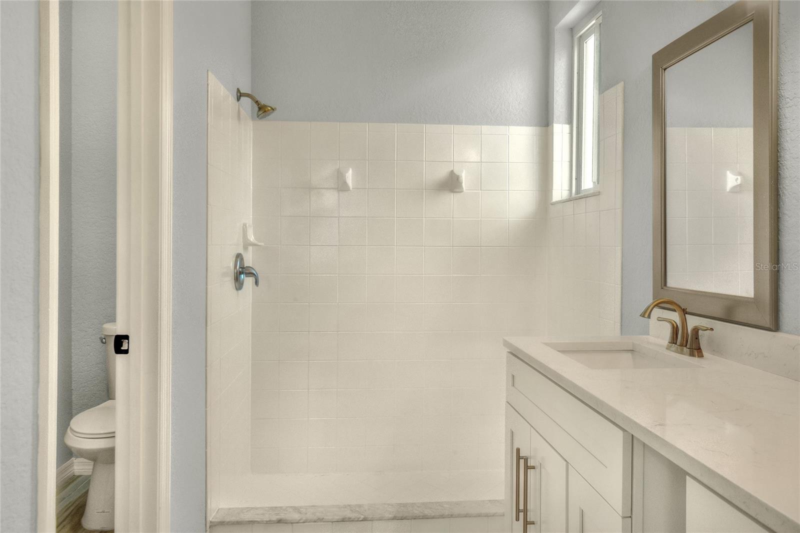 Master bath shower