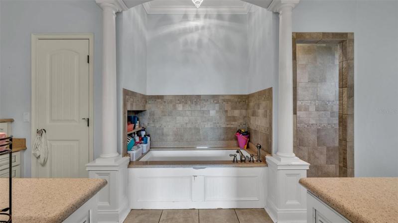 Master bathroom tub